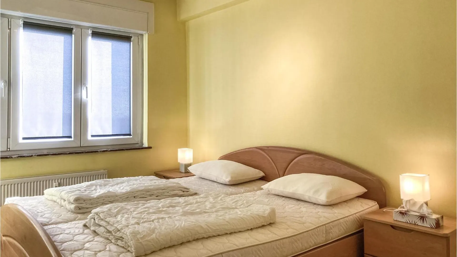 Awesome Apartment In Oostende With House Sea View